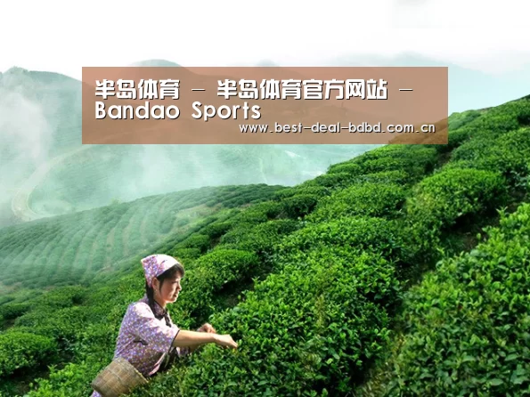 半岛体育 - 半岛体育官方网站 - Bandao Sports